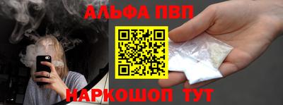 стаф Краснодар