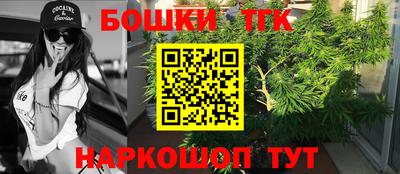 стаф Краснодар