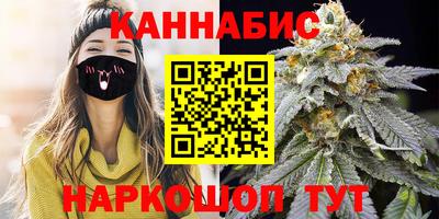 стаф Краснодар