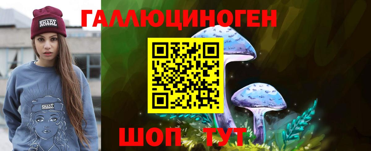 даркнет сайт  Псилоцибиновые грибы ЛСД  Вход с VPN  Галлюциногенные грибы ЛСД  Ковров 